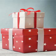 Make up the difference private link us.store.flsun3d